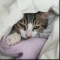 김희석